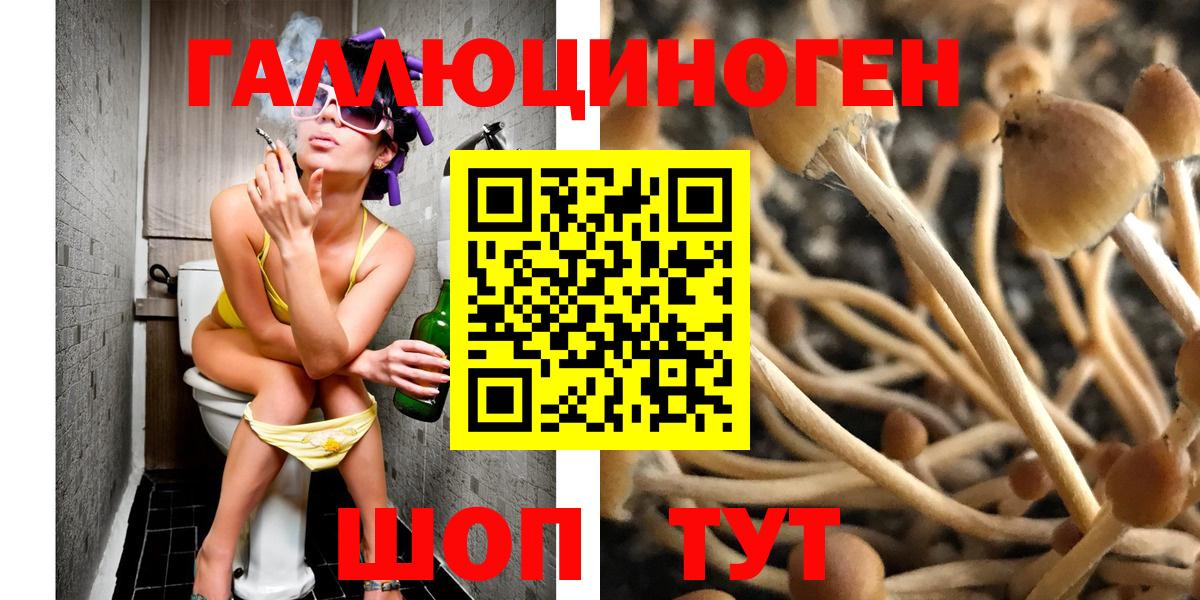 Галлюциногенные грибы прущие грибы Мурманск
